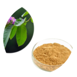 Banaba Leaf Extract